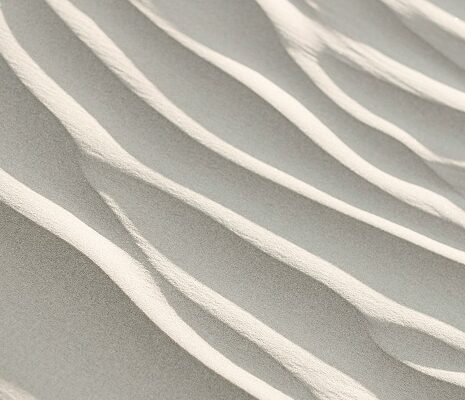 Sand Landscapes